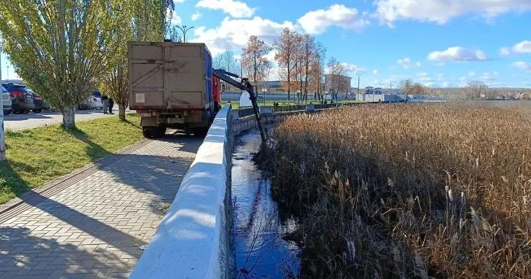 С воткинского пруда убрали опасный плавающий остров