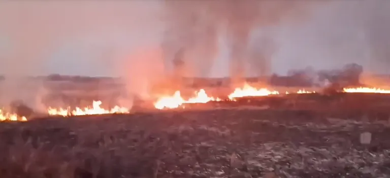 В Ярском районе ликвидировали пожар на площади более двух гектаров