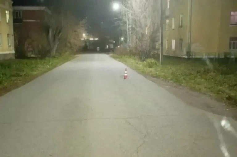 В Глазове после опрокидывания велосипеда госпитализированы отец и две дочери